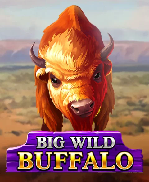 Play Big Wild Buffalo at Uptown Aces Casino